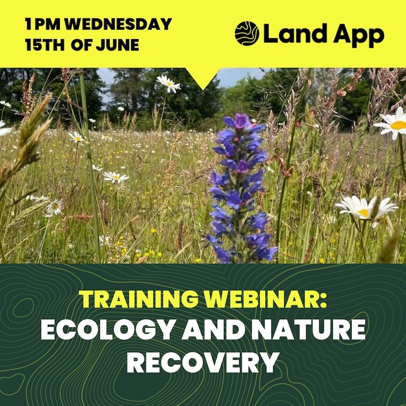 Ecology and Nature Recovery.