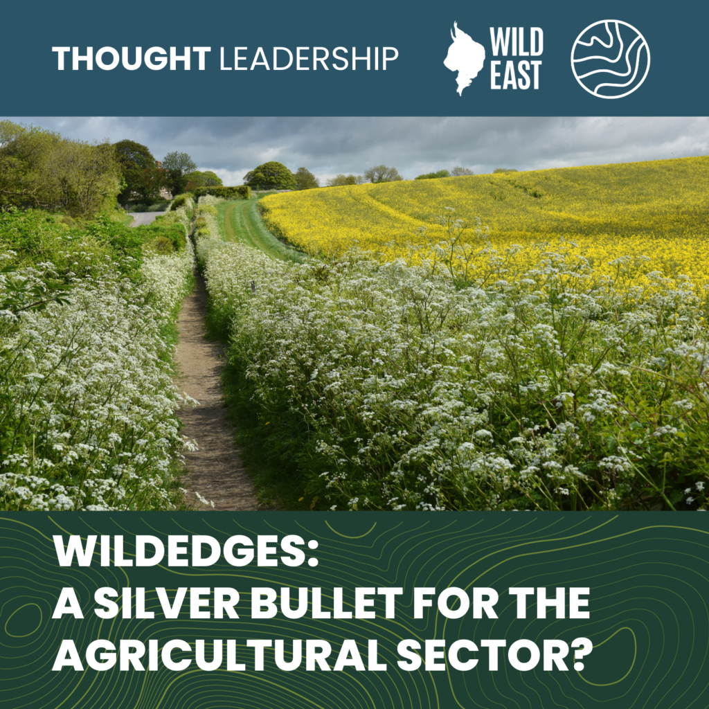 WILDEDGES: A SILVER BULLET FOR THE AGRICULTURAL SECTOR?