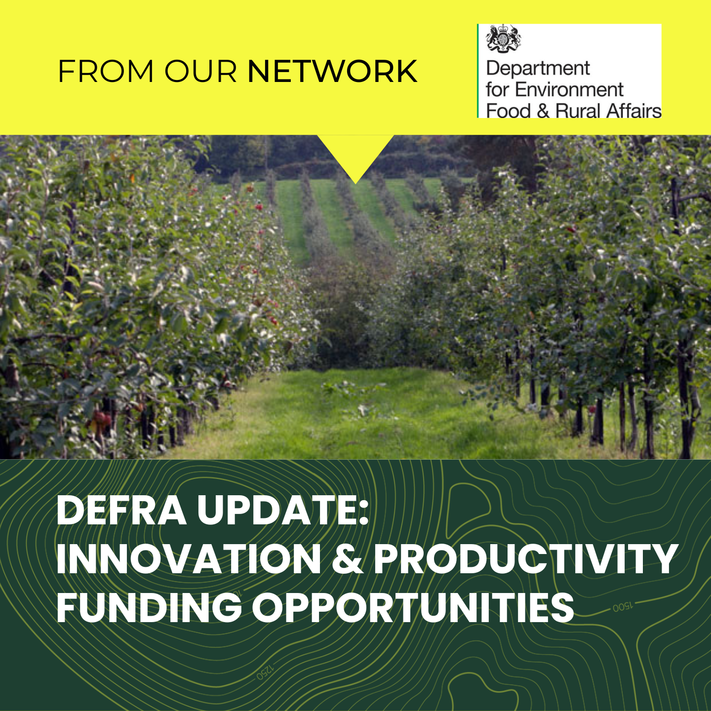 Innovation & Productivity Funding Opportunities