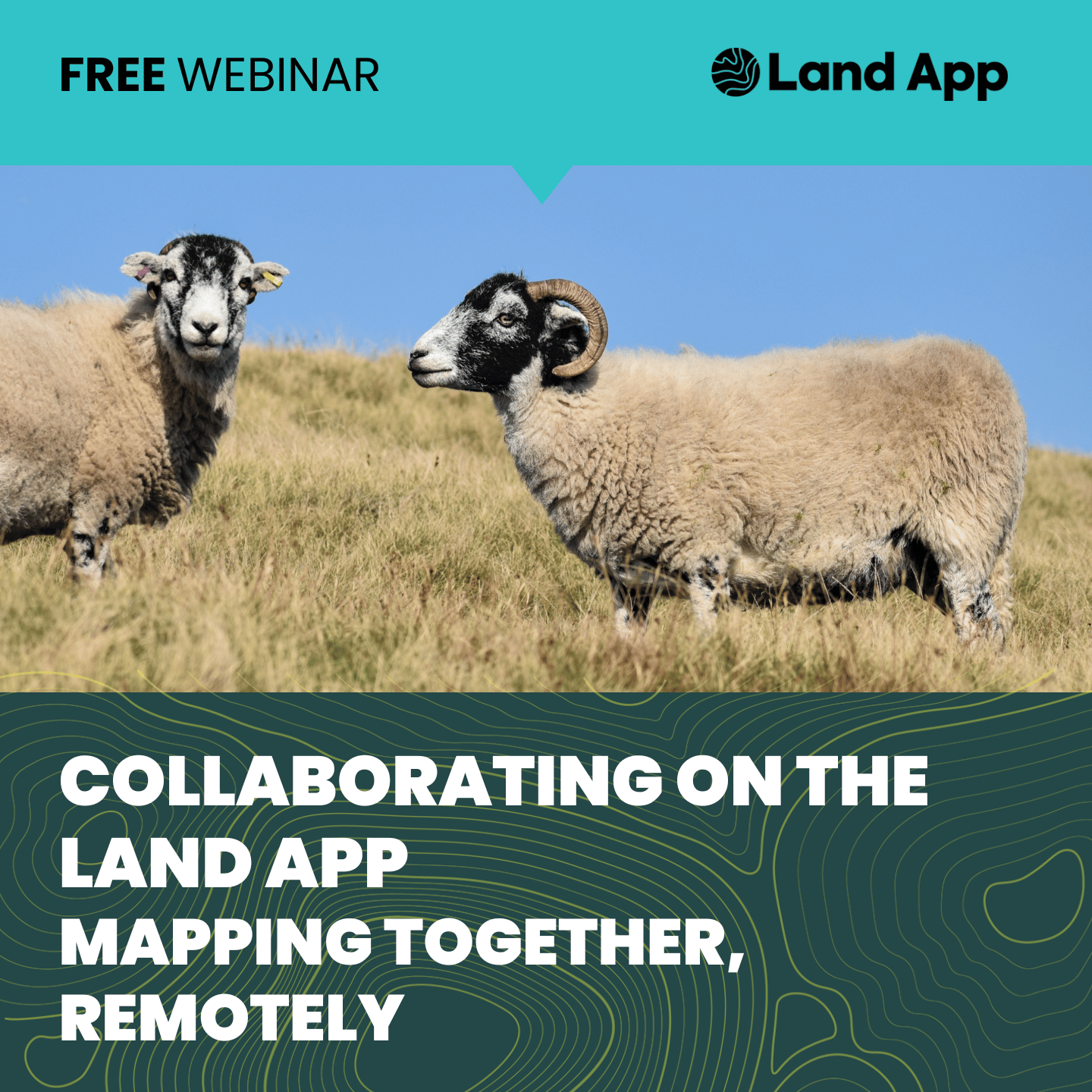 Collaboration on Land App: 1 pm on the 26th August 2022