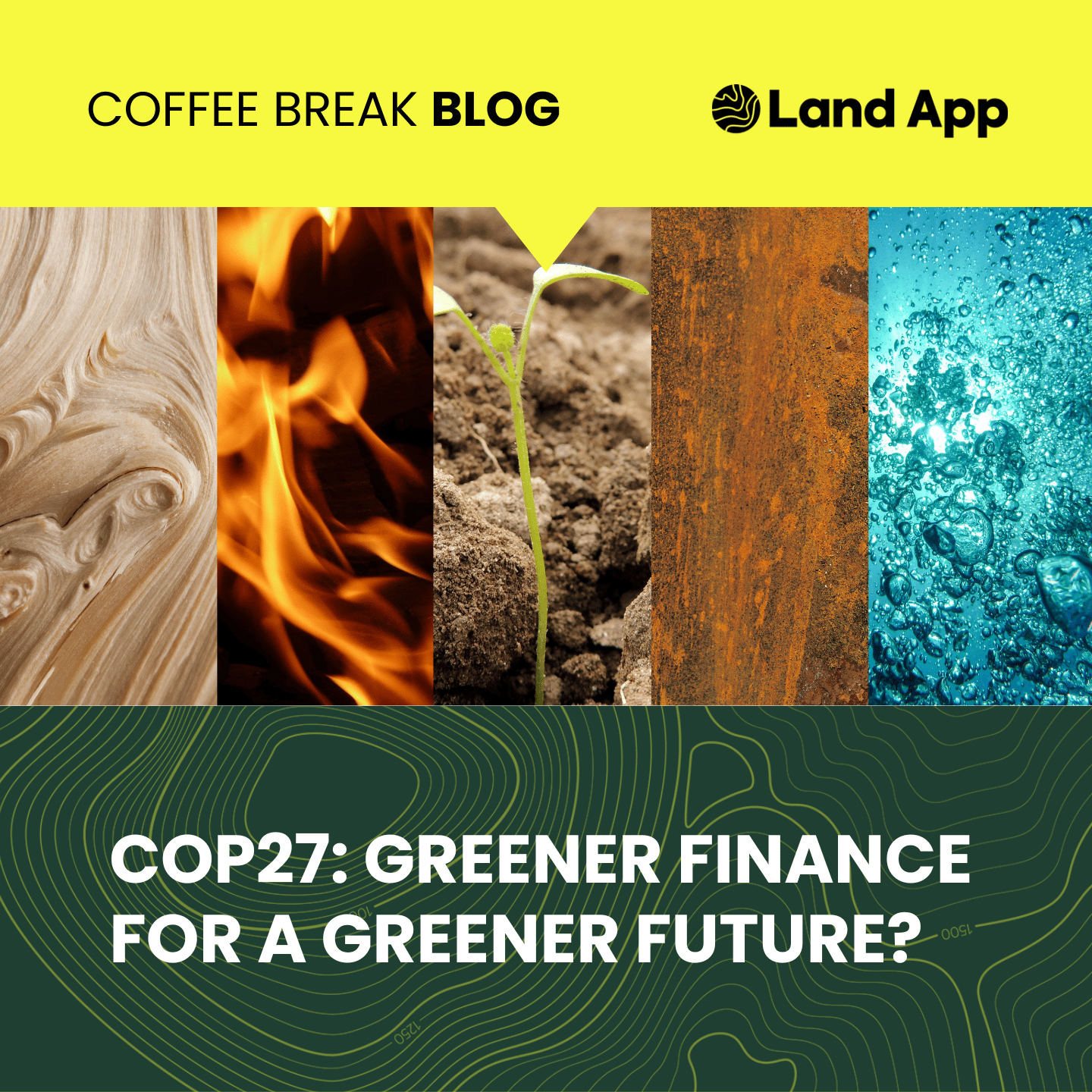 COP27: Greener Finance for a Greener Future