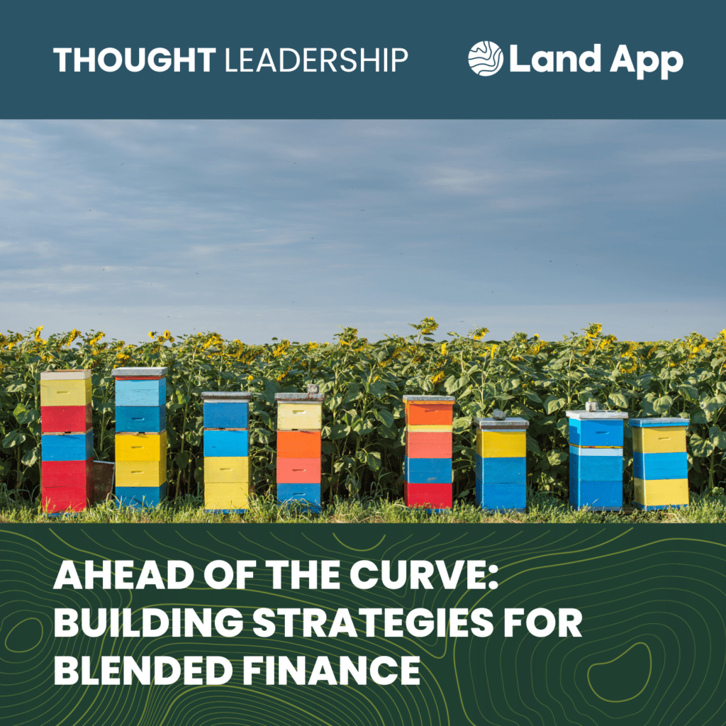 Building Strategies for Blended Finance