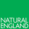 NatEng_logo_New-Green