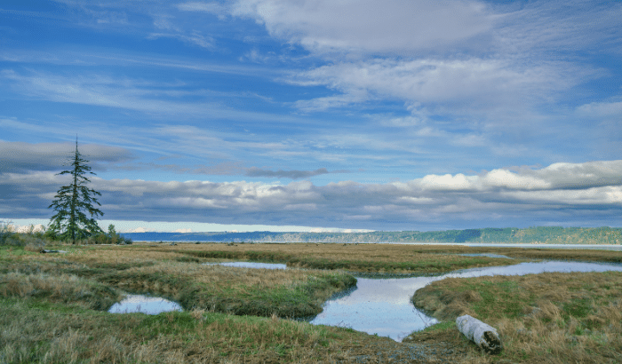 Wetlands with hills in the background
