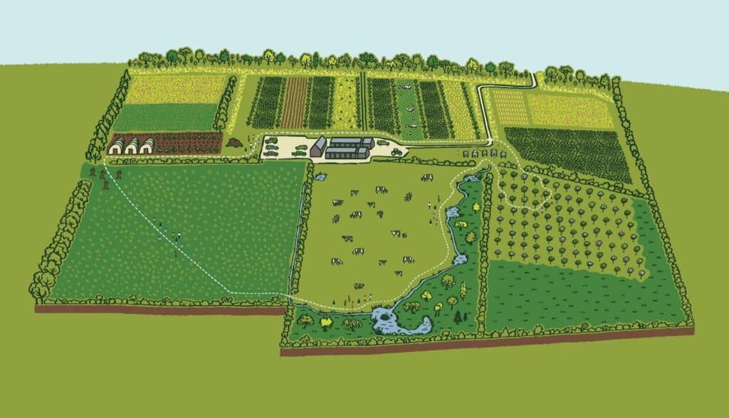 An Illustration of Honeydale Farm (copyright FarmED)