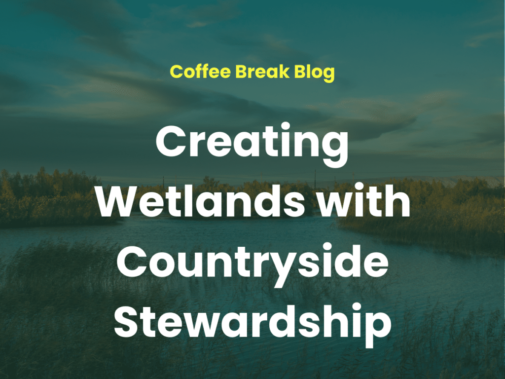White text on a green background. Text reads, 'Creating Wetlands with Countryside Stewardship'