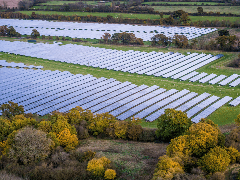 Field of solar panels