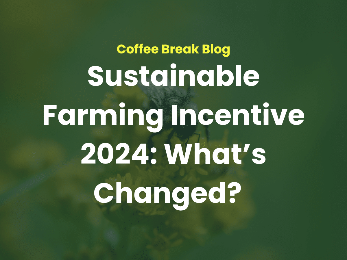 Sustainable Farming Incentive 2024: What’s Changed? - Land App