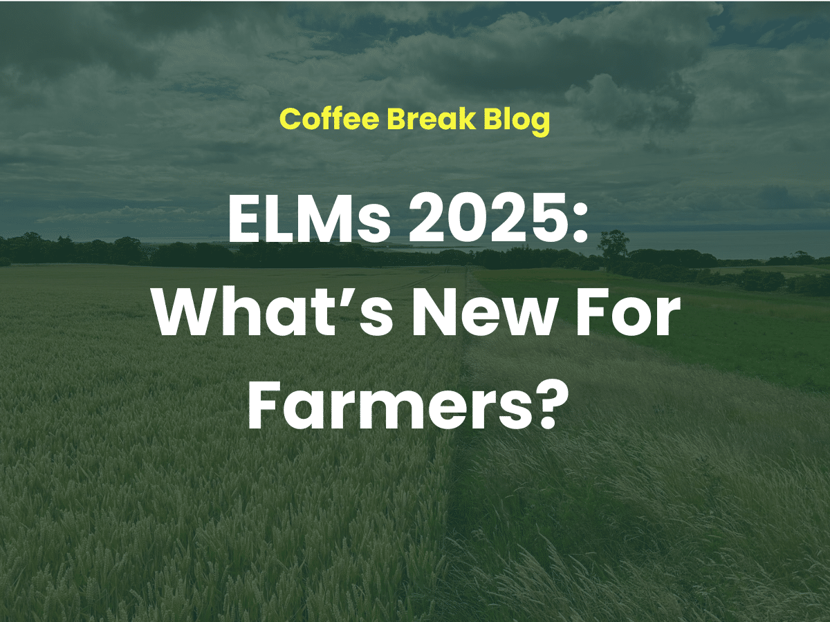 Photo of Beetle Bank with Blog Title 'ELMs 2025: What's next for farmers?'