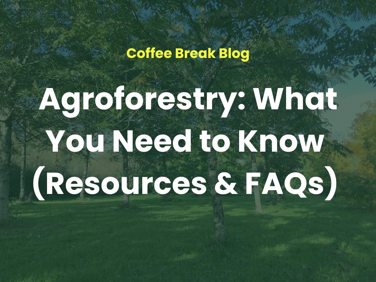 Photo of Agroforestry farmland with blog title.