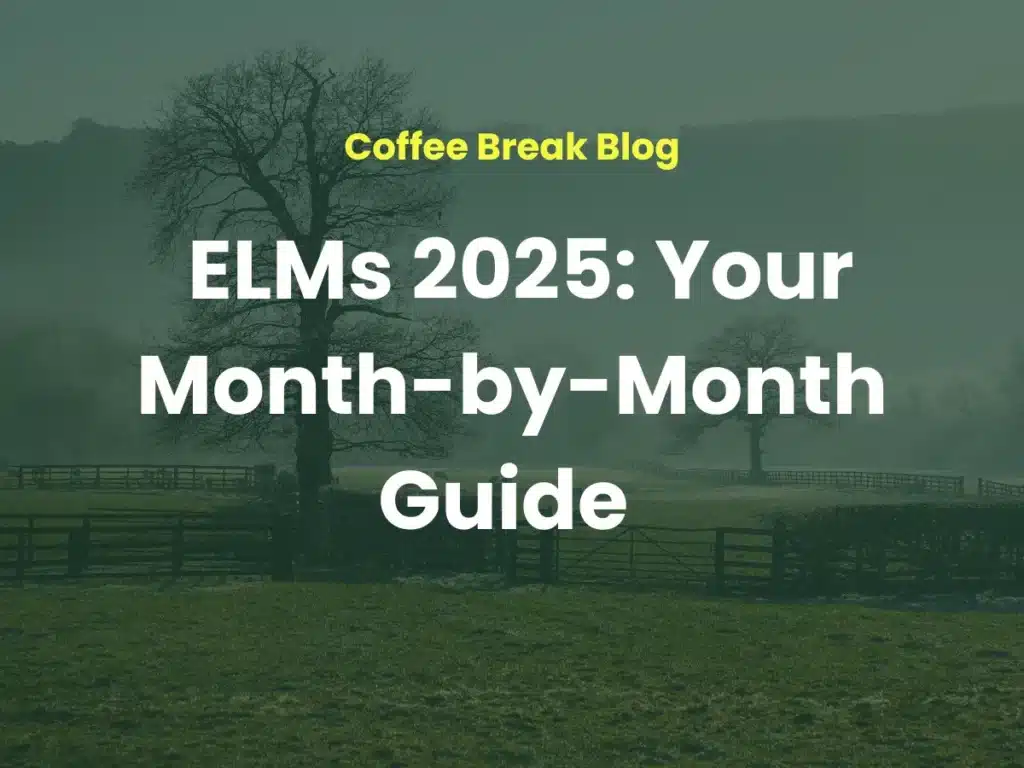 ELMS 2025: Your month by month guide