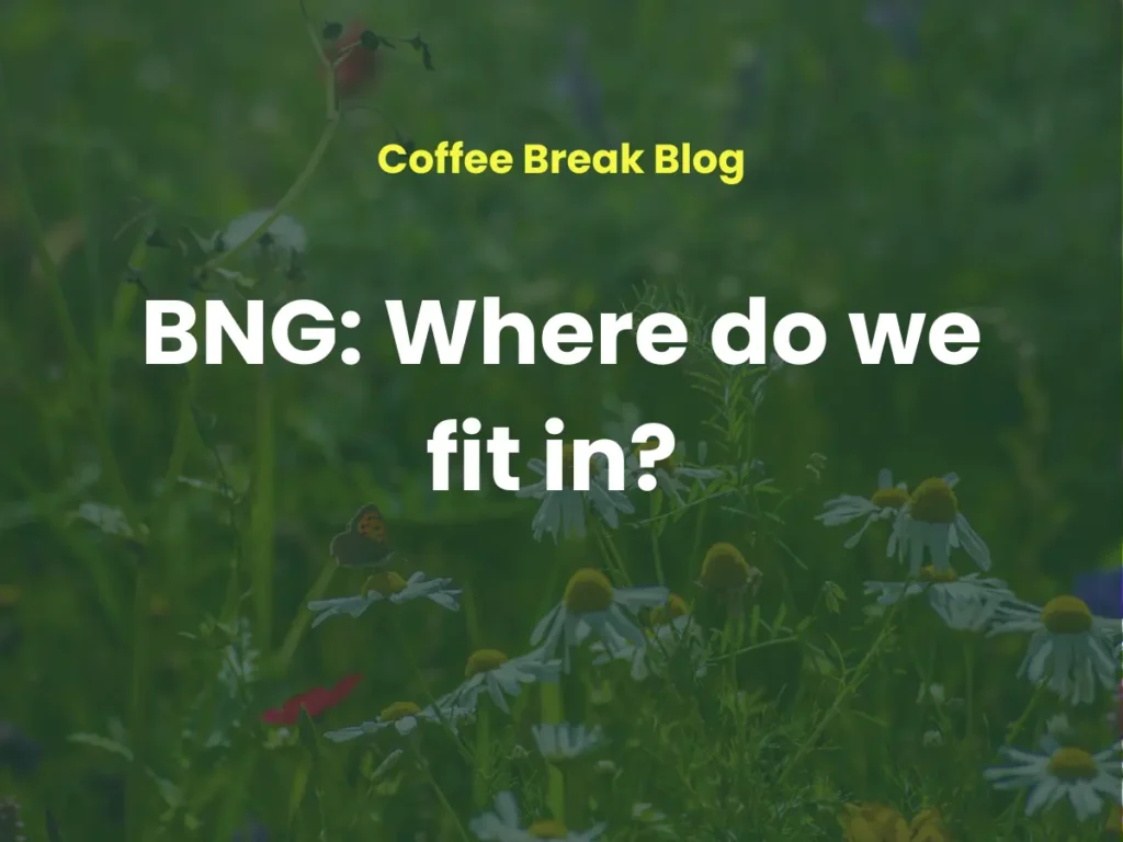 BNG: Where do we fit in?