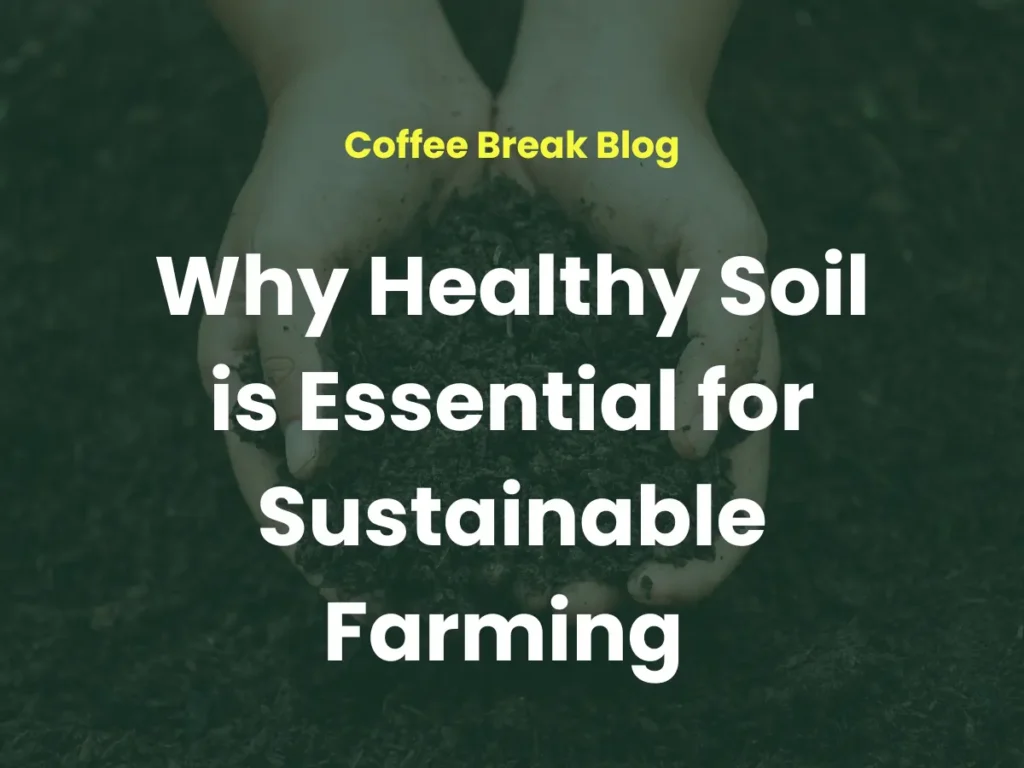 Why Healthy Soil is Essential for Sustainable Farming